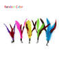 Interactive Feather and Ball Cat Toys