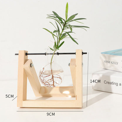 Transparent Vase for plants home decor