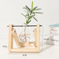 Transparent Vase for plants home decor