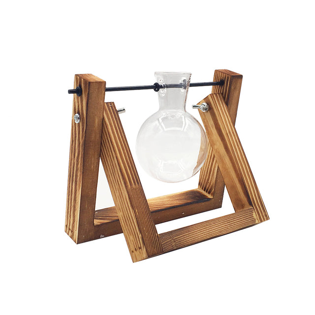 Transparent Vase for plants home decor