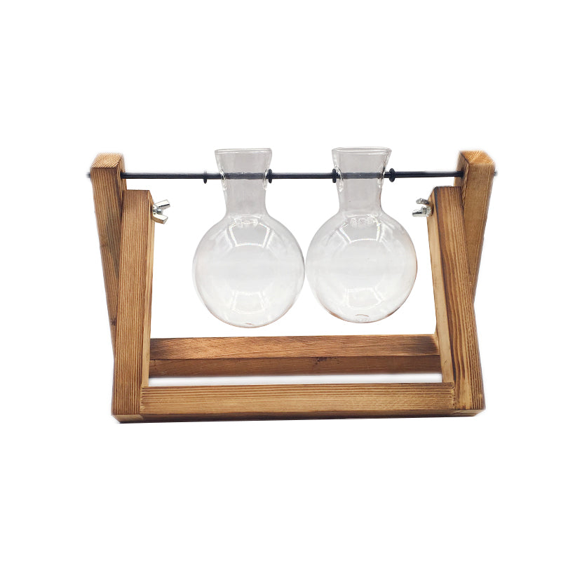 Transparent Vase for plants home decor