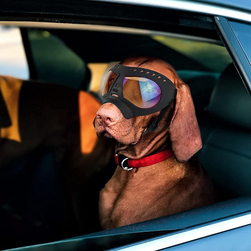 Soft Frame Dog Glasses