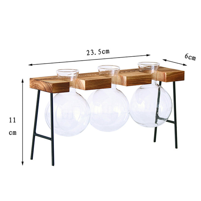 Transparent Vase for plants home decor