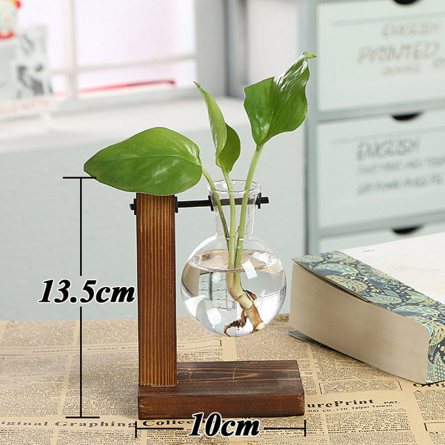 Transparent Vase for plants home decor