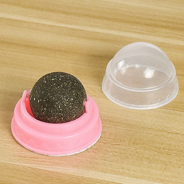 Natural Catnip Snack Ball for Cats