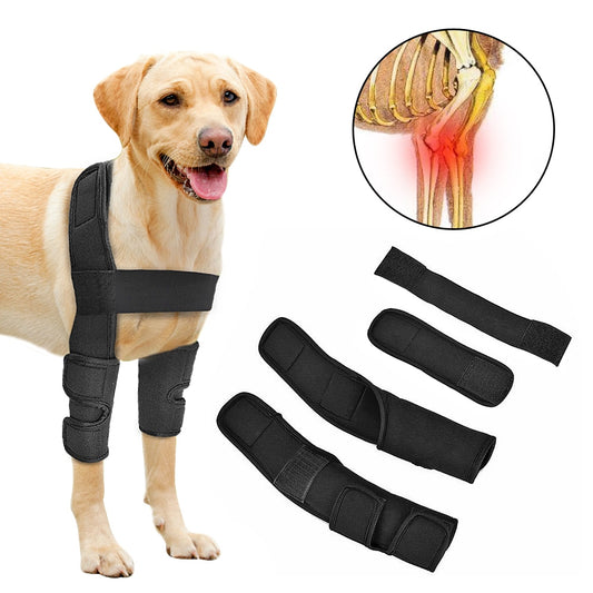 Pet Leg Joint Support