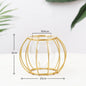 Nordic Simple Golden Glass Vase