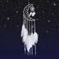 Dream Catcher