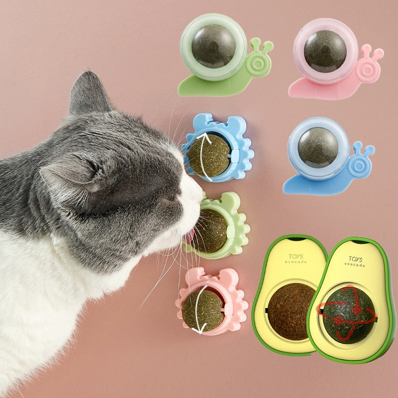 Natural Catnip Snack Ball for Cats