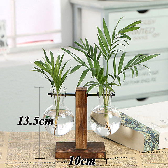 Transparent Vase for plants home decor