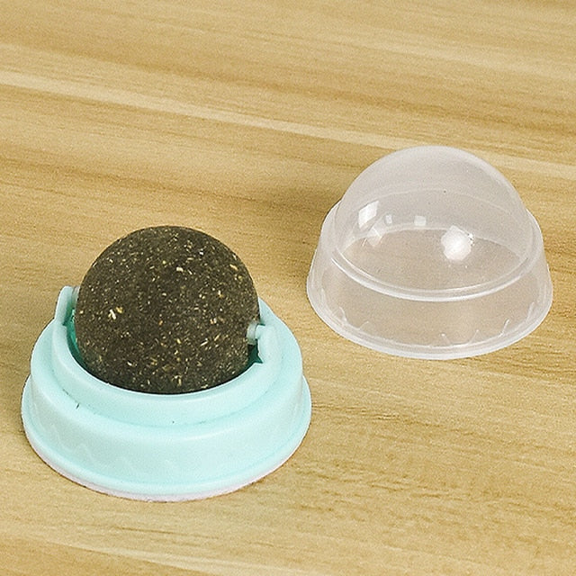 Natural Catnip Snack Ball for Cats