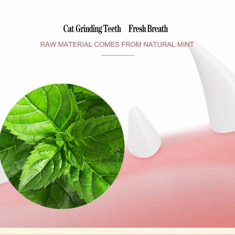 Natural Catnip Snack Ball for Cats