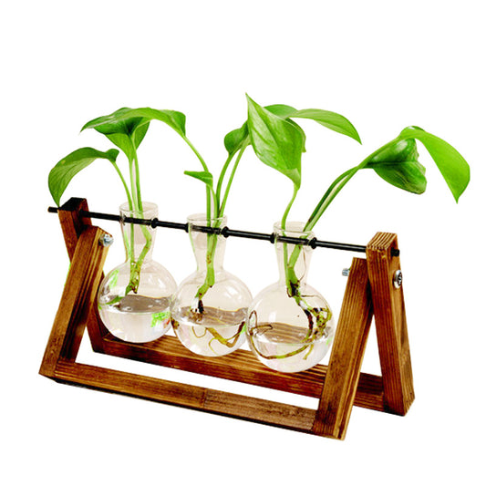 Transparent Vase for plants home decor