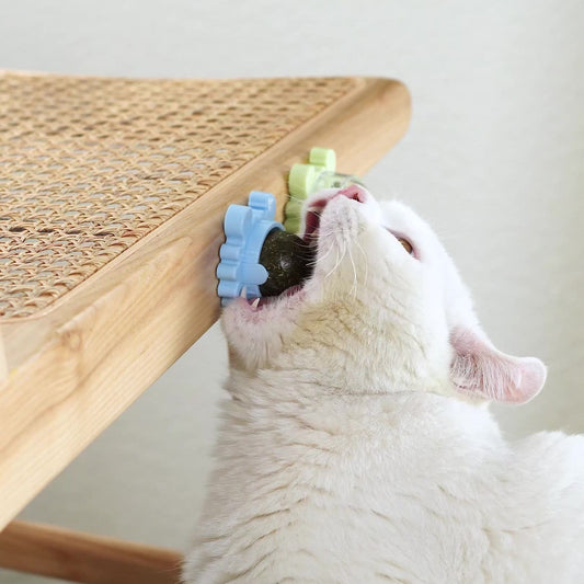 Natural Catnip Snack Ball for Cats