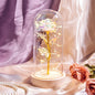 Beauty and The Beast Preserved Roses In Glass Galaxy Rose Flower LED Light Artificial Flowers Christmas Valentine Gift for Girls
