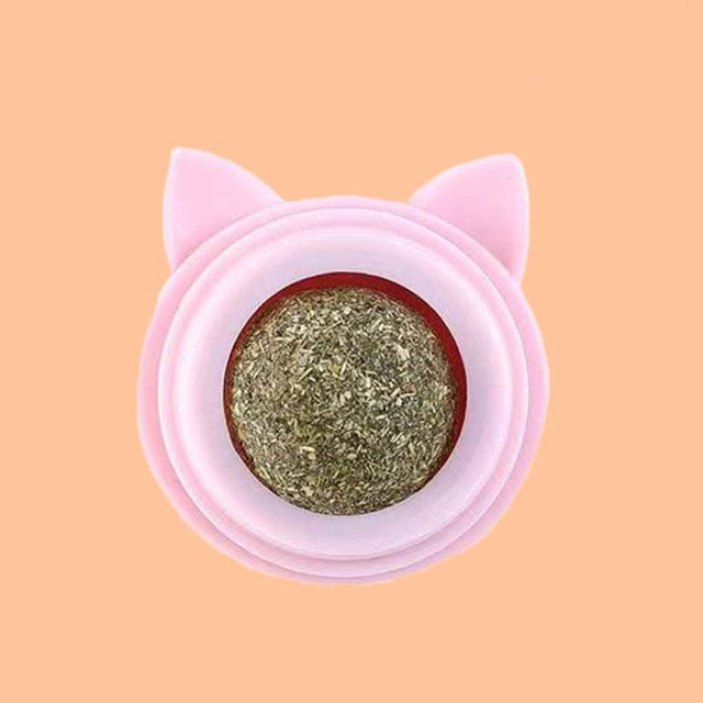 Natural Catnip Snack Ball for Cats