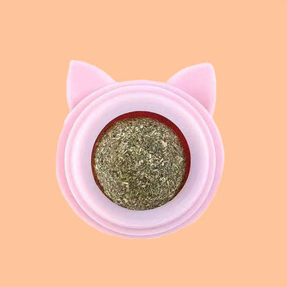 Natural Catnip Snack Ball for Cats